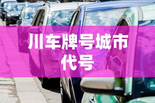 川车牌号城市代号  第1张