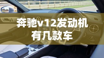 奔驰v12发动机有几款车  第1张