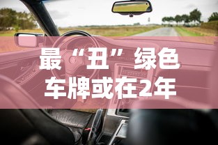 最“丑”绿色车牌或在2年内取消  第1张