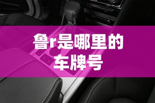 鲁r是哪里的车牌号  第1张