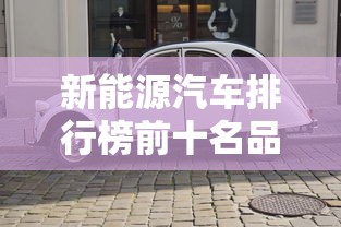 新能源汽车排行榜前十名品牌  第1张