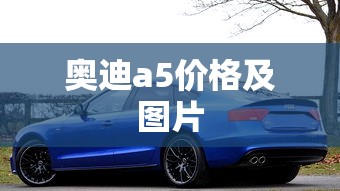 奥迪a5价格及图片  第1张