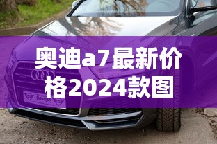奥迪a7最新价格2024款图片  第1张