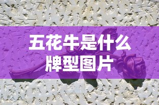 五花牛是什么牌型图片  第1张