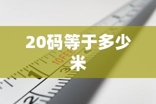 20码等于多少米  第1张