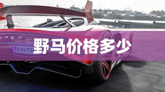 野马价格多少  第1张