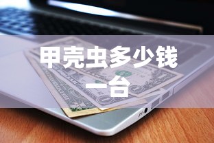 甲壳虫多少钱一台  第1张