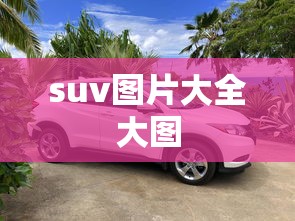 suv图片大全大图  第1张