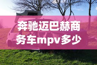 奔驰迈巴赫商务车mpv多少钱  第1张