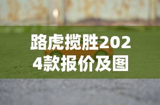 路虎揽胜2024款报价及图片大全80万以上  第1张