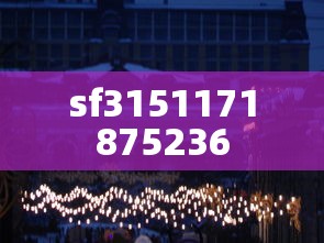 sf3151171875236  第1张