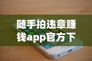 随手拍违章赚钱app官方下载  第1张