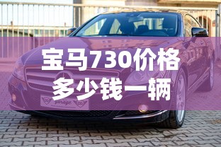 宝马730价格多少钱一辆  第1张