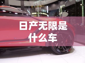 柯珞克怎么样口碑  第1张