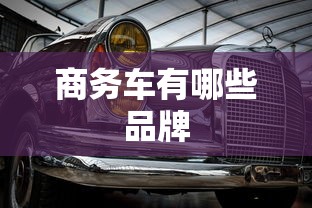 商务车有哪些品牌  第1张