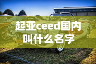 起亚ceed国内叫什么名字  第1张