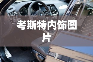 考斯特内饰图片  第1张