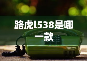 路虎l538是哪一款  第1张