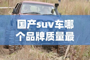 国产suv车哪个品牌质量最好  第1张