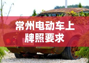 常州电动车上牌照要求  第1张