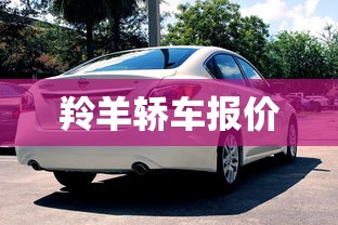 羚羊轿车报价  第1张