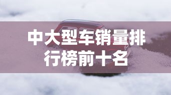 中大型车销量排行榜前十名  第1张