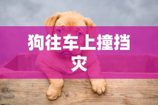 王城霸主礼包码  第1张