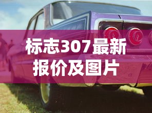 标志307最新报价及图片  第1张
