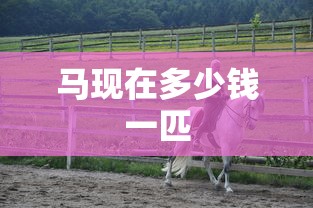 马现在多少钱一匹  第1张