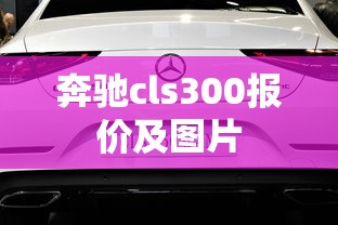 奔驰cls300报价及图片  第1张