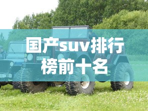 国产suv排行榜前十名  第1张