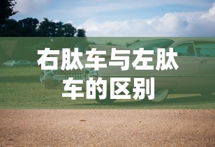 右肽车与左肽车的区别  第1张