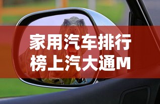 家用汽车排行榜上汽大通MAXUS  第1张