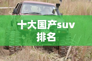 十大国产suv排名  第1张