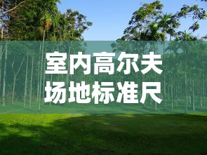 室内高尔夫场地标准尺寸  第1张