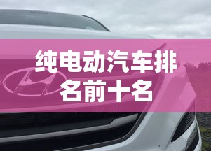 纯电动汽车排名前十名  第1张