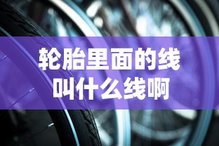 轮胎里面的线叫什么线啊  第1张