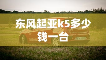 东风起亚k5多少钱一台  第1张