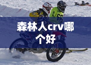 森林人crv哪个好  第1张