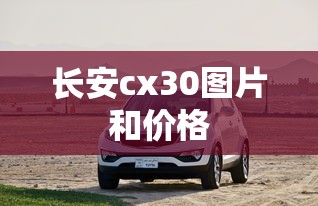 长安cx30图片和价格  第1张