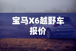 宝马X6越野车报价  第1张
