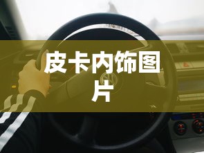 皮卡内饰图片  第1张