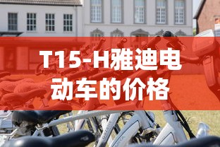 T15-H雅迪电动车的价格  第1张