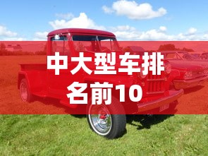 中大型车排名前10  第1张