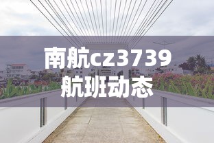 南航cz3739航班动态  第1张