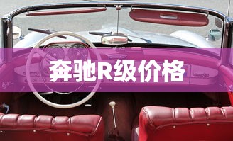 奔驰R级价格  第1张