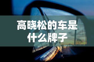 高晓松的车是什么牌子  第1张