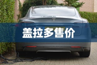 盖拉多售价  第1张