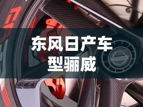 东风日产车型骊威  第1张
