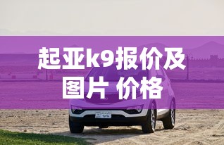 起亚k9报价及图片 价格  第1张